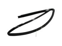 Ford 8L2Z-7821597-AA Run Channel, Front Driver Side