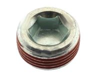Ford -W701548-S437 Expansion Plug