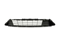 Ford HS7Z-17B968-VA Lower Grille, Black, Front