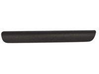 Ford CJ5Z-7822621-AA Trim Molding, Charcoal, Front Driver Side