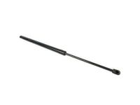 Ford AE9Z-74406A10-A Lift Cylinder, Passenger Side