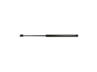 Ford 8L8Z-7842105-A Support Cylinder, Driver Side