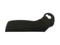 Ford CJ5Z-7862187-AB Valance, Charcoal, Front Driver Side