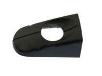 Ford CJ5Z-78218A14-C Lock Bezel, Black, Front