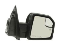 Ford FL3Z-17682-GDPTM Mirror Assembly, Front Passenger Side