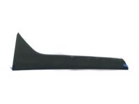 Ford DT1Z-1720939-AB Upper Molding, Front Driver Side
