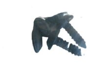 Ford -W502660-S303 Retainer Screw, Front