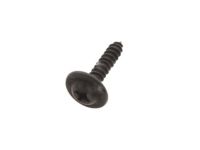 Ford -W505022-S303 Instrument Cluster Screw, Front