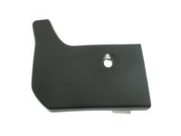 Ford C1BZ-9910176-A Molding Extension, Passenger Side
