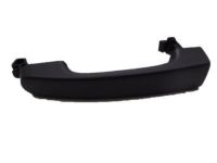 Ford 5F9Z-7422404-AA Handle Assembly - Door - Outer