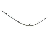 Ford 3W1Z-17C830-AA Molding Strip, Passenger Side