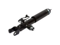 Ford DE9Z-18125-A Shock Absorber Assembly, Passenger Side