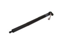 Ford FB5Z-14B351-A Actuator, Driver Side