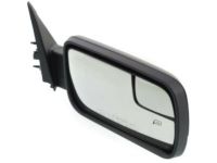 Ford DA8Z-17682-BA Mirror, Front Passenger Side