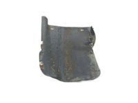 Ford 1L2Z-16D072-AA Extension, Passenger Side