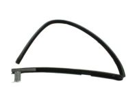 Ford 8L5Z-1021596-B Run Channel, Front Passenger Side