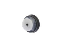 Ford -W713489-S300 Lower Center Pillar Trim Retainer Clip