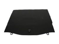Ford CV6Z-5813046-BB Floor Cover, Rear