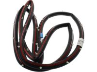Ford BM5Z-58253A10-A Weatherstrip - Door Opening, Passenger Side