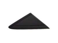 Ford CJ5Z-16004-AA Moulding, Passenger Side