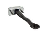 Ford CN1Z-7423500-C Door Check, Front