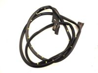 Ford BB5Z-7820531-A Door Weatherstrip, Front Outer Driver Side