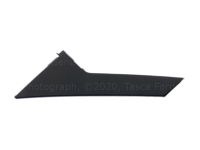 Ford DP5Z-54255A63-AB Applique, Driver Side