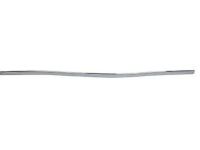 Ford FA1Z-17K945-AA Center Molding, Front