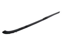 Ford 6R3Z-76423A18-AA Outer Molding, Passenger Side