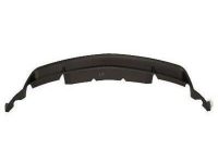 Ford AR3Z-17D957-BB Valance Panel, Front