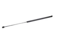Ford FT4Z-16C826-B Lift Cylinder, Driver Side Ford FT4Z-16C826-B Lift Cylinder, Driver Side