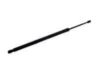 Ford 7L1Z-78406A10-B Lift Cylinder, Rear Passenger Side