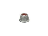 Ford -W520201-S440 Wheel Opening Molding Nut, Front
