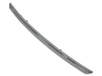 Ford FL1Z-8419-AA Molding, Front
