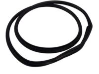 Ford 8A8Z-7420708-B Weatherstrip On Body, Front Inner