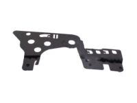 Ford FR3Z-63016A52-A Extension Panel, Front