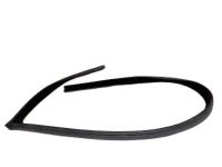 Ford YS4Z-6121597-AB Weatherstrip, Driver Side