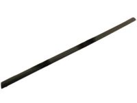 Ford AE8Z-5425596-A Belt Molding, Black, Rear Passenger Side