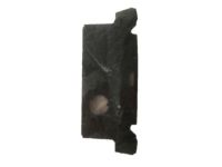 Ford BB5Z-78045A76-AB Insert Panel, Rear