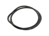 Ford DS7Z-5420708-A Weatherstrip Assembly - Door Opening, Passenger Side