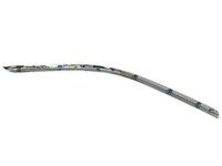 Ford 3W1Z-17C829-BA Cover Molding, Front Driver Side, Rubber