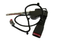Ford 4L5Z-1061203-ABA Buckle End, Driver Side