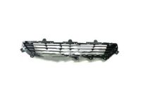 Ford DP5Z-17K945-BA Lower Grille, Front