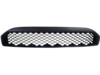 Ford 9S4Z-17K945-AA Lower Grille, Front