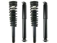 Ford HG9Z-18125-B Shock Absorber, Passenger Side