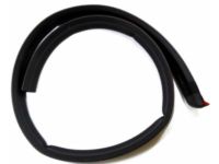 Ford F2UZ-1520518-C Body Weatherstrip, Upper