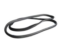 Ford CE8Z-5420708-A Weatherstrip On Body, Front Inner Passenger Side