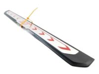 Ford CM5Z-5813209-A Insert Strip, Driver Side