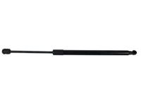 Ford 7L1Z-7842104-A Lift Cylinder, Passenger Side