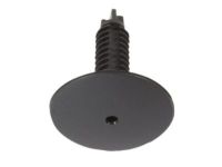 Ford CV6Z-58519A16-AB Lower Panel Retainer Clip, Black/Charcoal